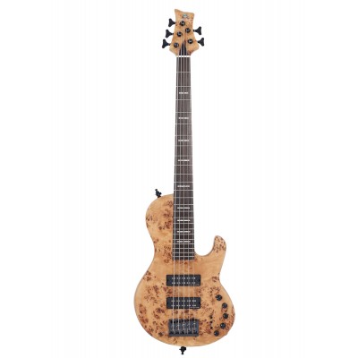 Er F10-5 Nt.S Natural Satin