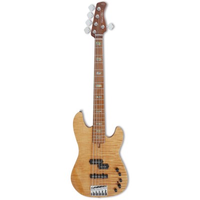 P10 Alder-5 Nt En