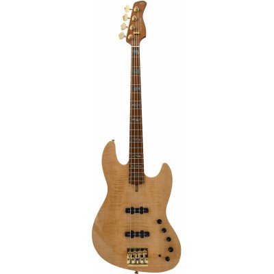 V10 Dx Swamp Ash-4 Nt Mn + Étui