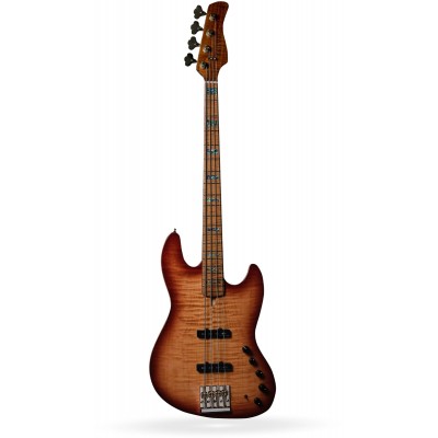 V10 Dx Swamp Ash-4 Ts Mn + Étui - Ricondizionati