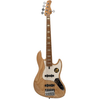 V8 Swamp Ash-5 Nt Mn + Gigbag