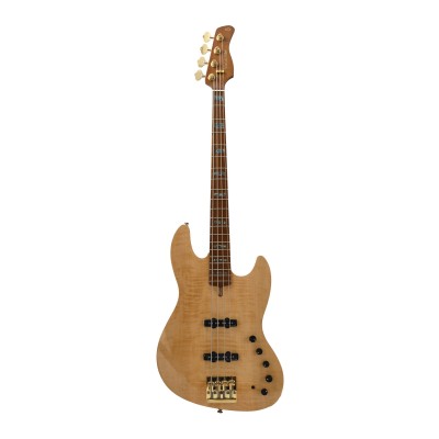 V10 DX SWAMP ASH-4 NT MN + ÉTUI