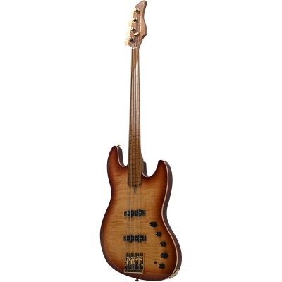 V10 DX SWAMP ASH-4 FL TS MN + ÉTUI