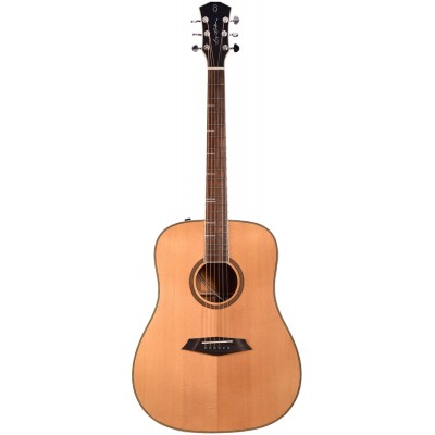 SIRE LARRY CARLTON A4 Ds Nat