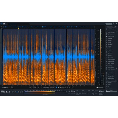 RX 11 Advanced Upgrade RX ADV/PPS