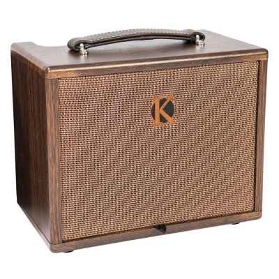 KINSMAN 45W ACOUSTIC AMPLIFIER AC/BATTERY POWER