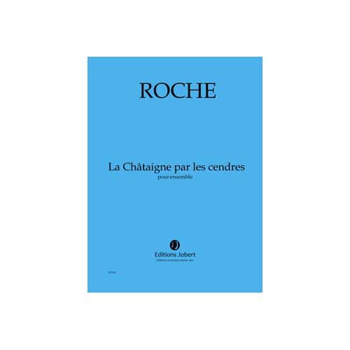 ROCHE COLIN - LA CHATAIGNE PAR LES CENDRES - ENSEMBLE
