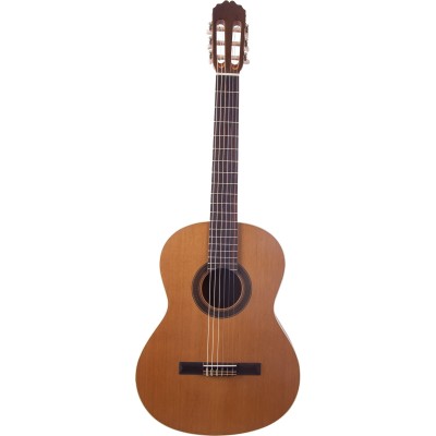 Prodipe Guitars Student 3/4