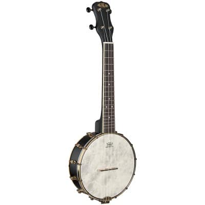 BANJO BLACK CONCERT