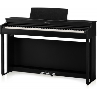 CN201 BLACK