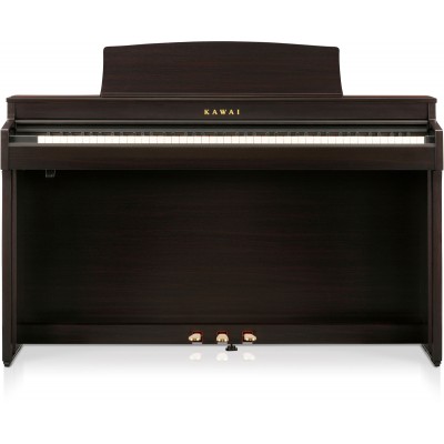 CN301 ROSEWOOD