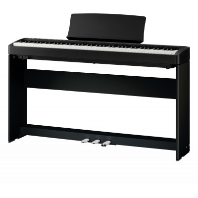 ES120 + Pack Stand Noir