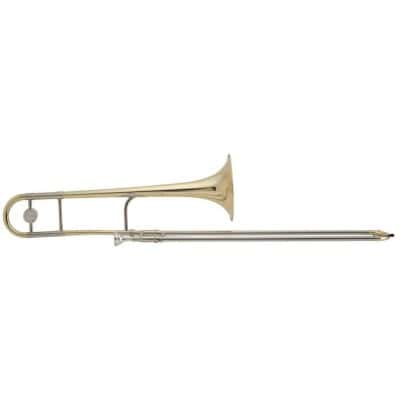 KING WINDS SIMPLE PROFESSIONNEL 2103PLG LEGEND (PAVILLON CUIVRE ROSE)