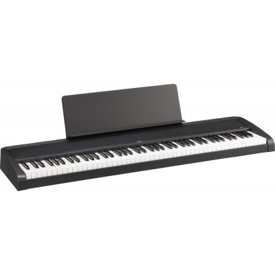 B2+ Black