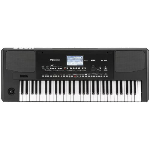 Korg Pa300