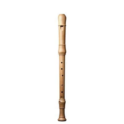 STUDIO TENOR CERISIER 1503