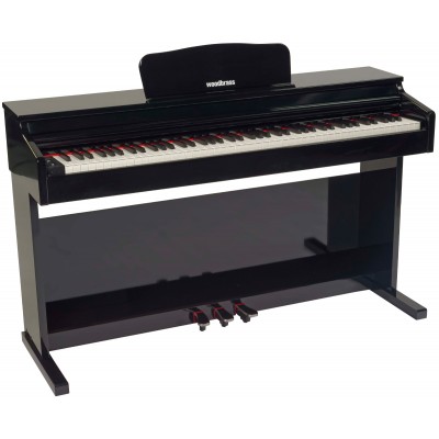 WOODBRASS DP2 Black Gloss