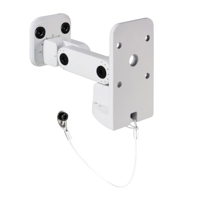 LD SYSTEMS LDSATWMB10W
