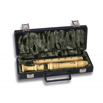 CASE FOR ALTO RECORDER 7102