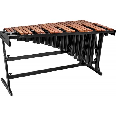 3.3 Octaves Gateway M5533DR