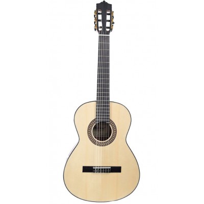 MARTINEZ GUITARS Martinez Standard Mc-20S 1/2 Rn
