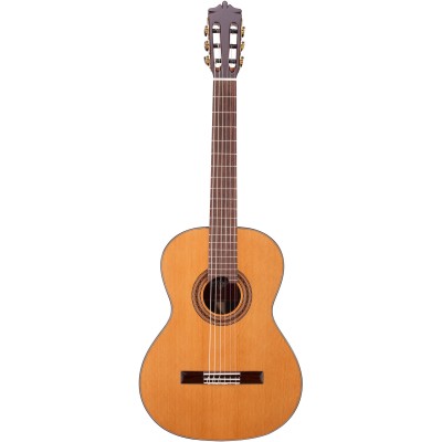 MARTINEZ GUITARS Standard MC-58C RN Natural