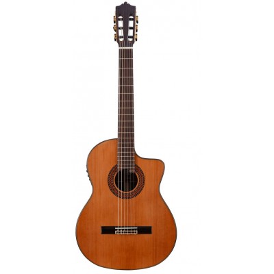 MARTINEZ GUITARS Standard Mc-88C Ce Rn Natural