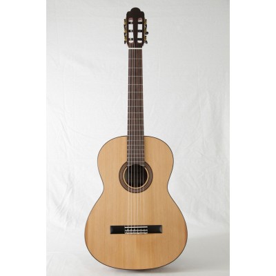 Torres 4/4 Rn Mahogany