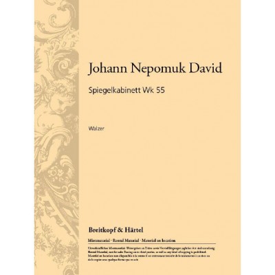 DAVID JOHANN NEPOMUK - SPIEGELKABINETT WK 55 - ORCHESTRA