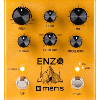 MERIS Enzo MULTI-voice Synthesizer