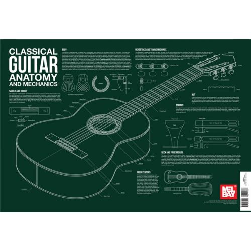  Classical Guitar Anatomy And Mechanics Guitar Chart - Classical Guitar
