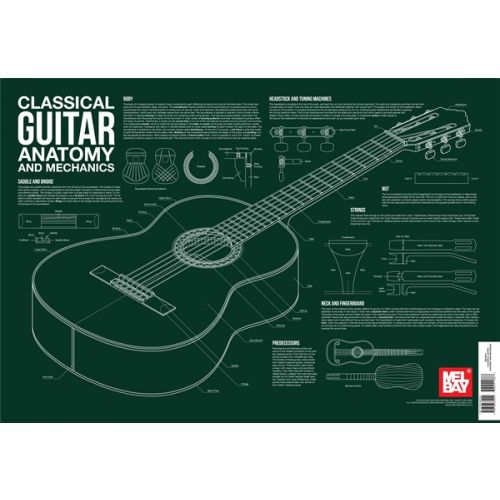 CLASSICAL GUITAR ANATOMY AND MECHANICS GUITAR CHART - CLASSICAL GUITAR