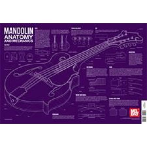 LEE-GEORGESCU CHARLIE MANDOLIN ANATOMY AND MECHANICS WALL CHART - 