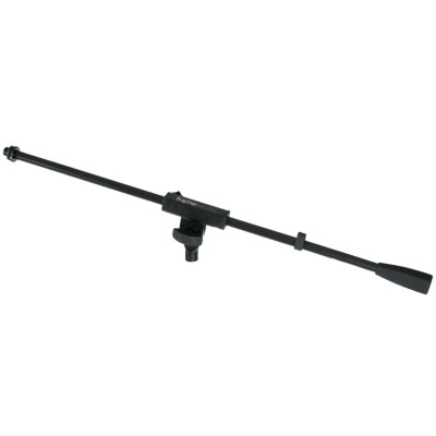 GFW-Mic-0010