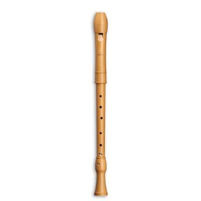 MOLLENHAUER CANTA TENOR 2406 - POIRIER