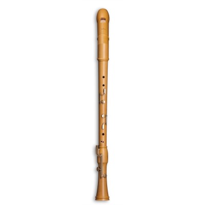 CANTA KNICK-BASS 2546K