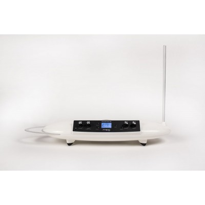 MOOG THEREMINI