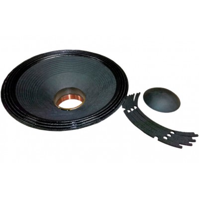 Recone Kit pour 18PZB100 8 Ohms