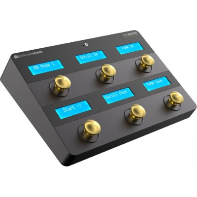 MIDI MAESTRO CONTROL PEDALS