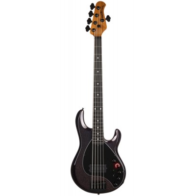 Basses électriques 5 cordes
