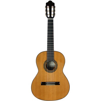 ESTEVE 3ST53 1/2 Glossy Cedar Top
