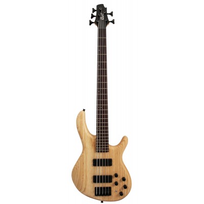 CORT Act5Dlx-As Natural Open Pores