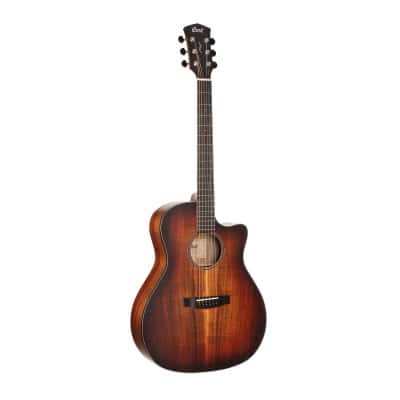 CORT GUITARE CORE-GA BLACKWOOD L. BURST