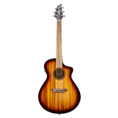 BREEDLOVE DISCO S CONCERT EDGE CE ACAJOU