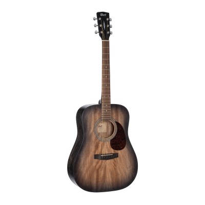 Guitare Earth60M Noir Degrade