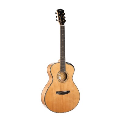 Guitare Gold passion Naturel Brillant