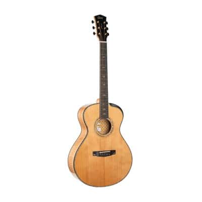 GUITARE GOLD-PASSION NATUREL BRILL.