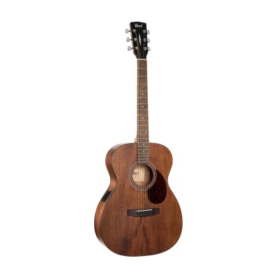 Guitare Luce L60Mf Naturel Fishman