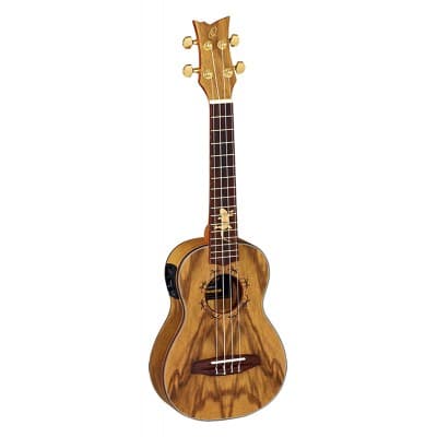 ORTEGA UKULELE CONCERT LIZARD, EQ