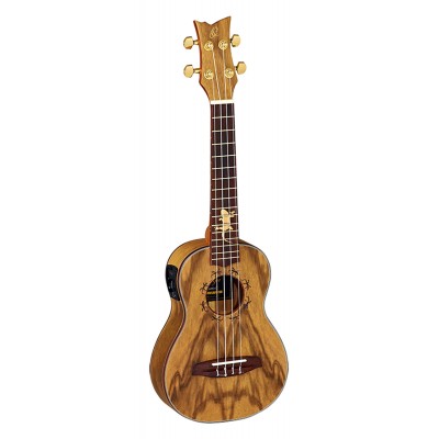 Ukulele Concert Lizard, Eq